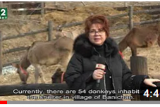 Tal der Esel in Banichan, Tierärzte im Einsatz in Bulgarien